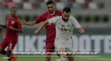 شاهد هالحين وشجع.. مواجهة قطر وفلسطين في افتتاح كأس العرب 2025
